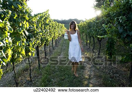 Stock Image - Young woman in vineyard holding lantern. Fotosearch