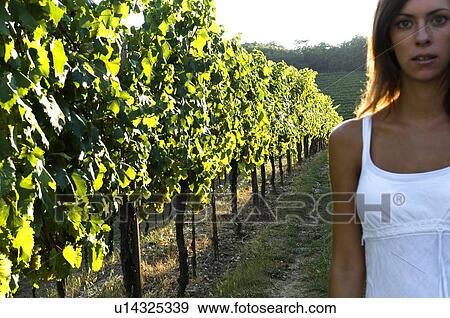 Young woman in vineyard View Large Photo Image Stock Photo - Young woman in vineyard. Fotosearch