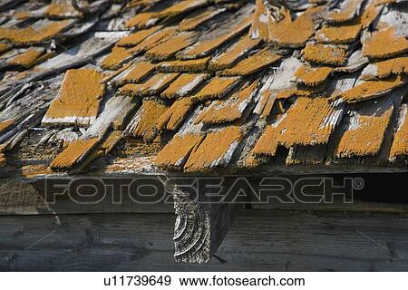Stock Photo - a old roof with wooden shingles needing repair. Fotosearch