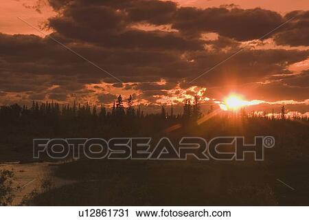 Stock Image - alberta, canada; silhouette of trees along the elbow river valley at sunset. Fotosearch