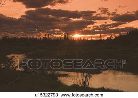 Stock Image - alberta, canada; silhouette of trees along the elbow river at sunset. Fotosearch