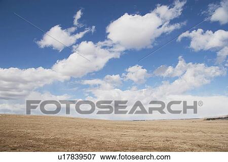 alberta, canada; wheat field and clouds View Large Photo Image Stock Photo - alberta, canada; wheat field and clouds. Fotosearch