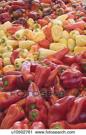 assorted colors of peppers View Large Photo Image Stock Image - assorted colors of peppers. Fotosearch