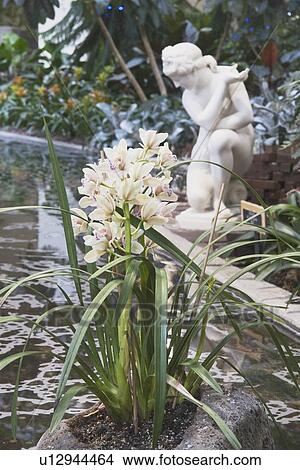 calgary, alberta, canada; a statue by a pond in devonian gardens in downtown calgary View Large Photo Image Picture - calgary, alberta, canada; a statue by a pond in devonian gardens in downtown calgary. Fotosearch