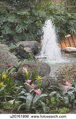 Stock Photograph - calgary, alberta, canada; devonian gardens in downtown calgary. Fotosearch