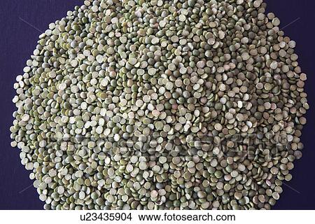 Picture - calgary, alberta, canada; pile of green lentils. Fotosearch