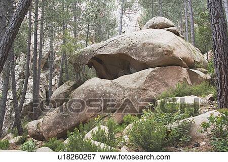 Stock Photo - corsica, france; rock formation in the forest. Fotosearch
