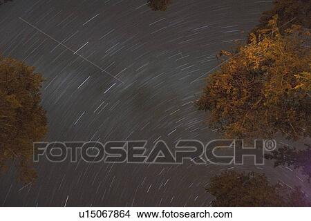 jasper national park, alberta, canada; star trails at night View Large Photo Image Picture - jasper national park, alberta, canada; star trails at night. Fotosearch