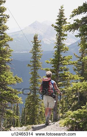 Picture - kananaskis country, alberta, canada; a male hiker walking down a trail at nahahi ridge. Fotosearch