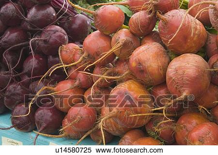 Stock Photography - red and purple beets (beta vulgaris). Fotosearch