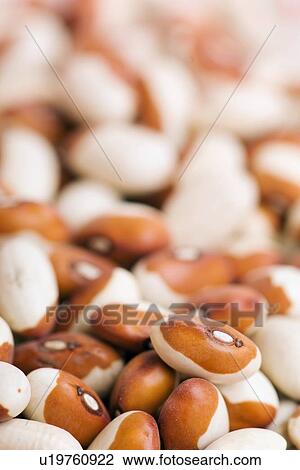 Stock Image - yellow eye beans. Fotosearch