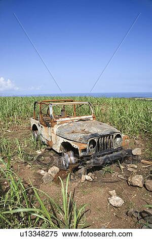 Abandoned Car in Field View Large Photo Image Stock Photography - Abandoned Car in Field. Fotosearch