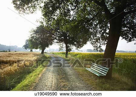 Stock Image - Bench and Gravel Road in the Country. Fotosearch