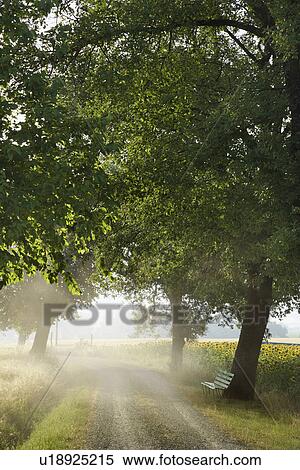 Stock Photography - Bench and Gravel Road in the Country. Fotosearch
