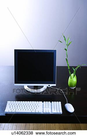 Computer Monitor and Lucky Bamboo View Large Photo Image Stock Photo - Computer Monitor and Lucky Bamboo. Fotosearch