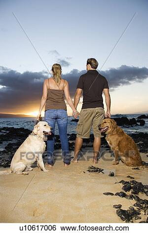 Stock Photograph - Couple Holding hands and Walking Dogs on the Beach. Fotosearch