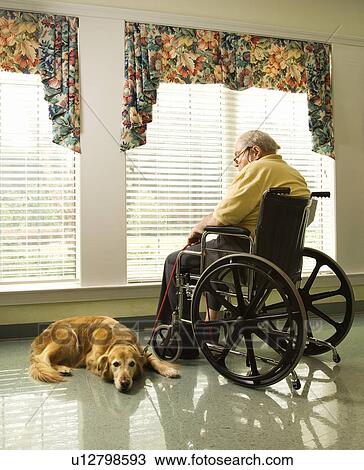 Elderly Man in wheelchair and dog View Large Photo Image Stock Image - Elderly Man in wheelchair and dog. Fotosearch