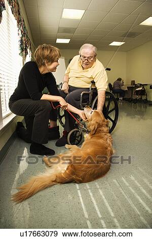 Stock Photo - Elderly Man with Woman Petting Dog. Fotosearch
