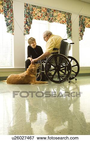 Elderly Man with Woman Petting Dog View Large Photo Image Stock Photo - Elderly Man with Woman Petting Dog. Fotosearch