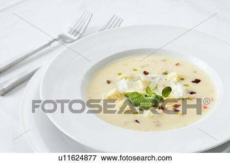 Stock Photo - Fancy Bowl of Soup. Fotosearch