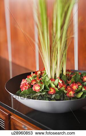 Stock Image - Flowers and Plants in Black Bowl. Fotosearch