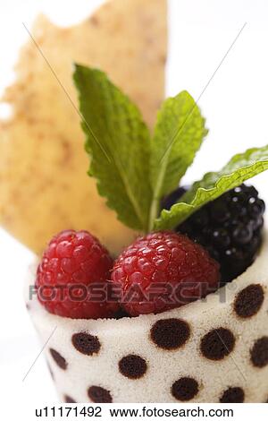 Fruit Cup With Mint Leaves View Large Photo Image Stock Image - Fruit Cup With Mint Leaves. Fotosearch