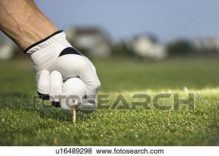 Golfer Placing Tee and Ball View Large Photo Image Stock Photo - Golfer Placing Tee and Ball. Fotosearch