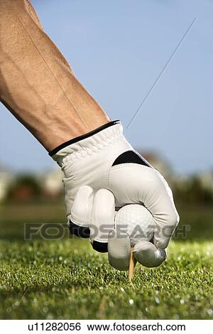 Golfer Placing Tee and Ball View Large Photo Image Stock Photograph - Golfer Placing Tee and Ball. Fotosearch