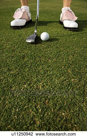 Golfer Putting View Large Photo Image Stock Image - Golfer Putting. Fotosearch