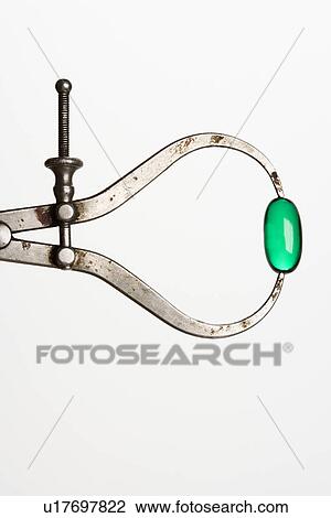 Green Capsule in Caliper View Large Photo Image Stock Image - Green Capsule in Caliper. Fotosearch