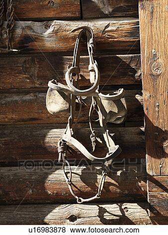 Stock Photo - Hanging Bridle with Blinders. Fotosearch