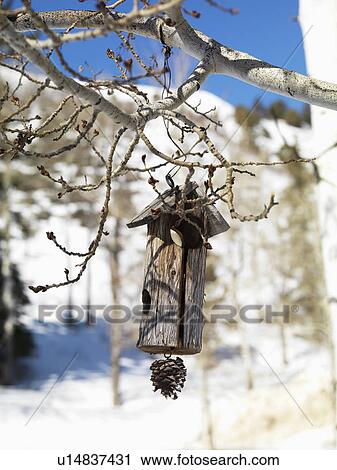 Stock Image - Hanging Wooden Birdhouse. Fotosearch