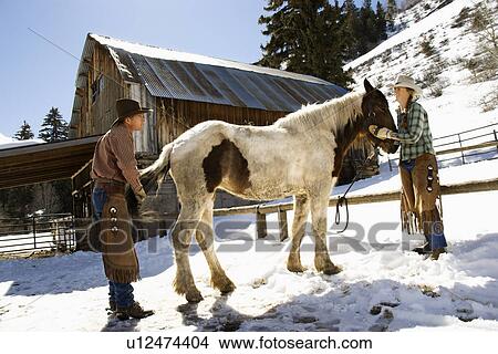 Man and Woman Grooming a Horse View Large Photo Image Picture - Man and Woman Grooming a Horse. Fotosearch