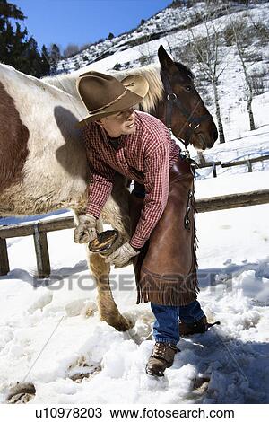 Man Cleaning a Horse Hoof View Large Photo Image Stock Image - Man Cleaning a Horse Hoof. Fotosearch