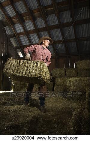 Man in Barn Moving Bales of Hay View Large Photo Image Picture - Man in Barn Moving Bales of Hay. Fotosearch