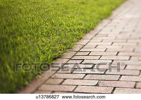 Red Brick Walkway View Large Photo Image Stock Photo - Red Brick Walkway. Fotosearch