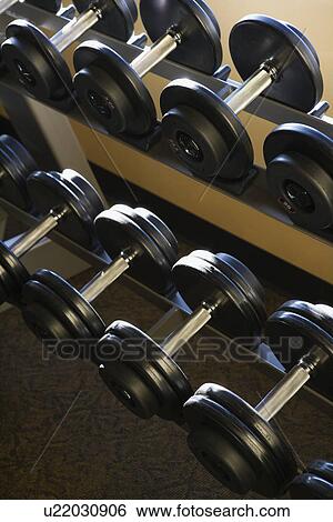 Stock Photograph - Rows of Hand Weights on Rack. Fotosearch