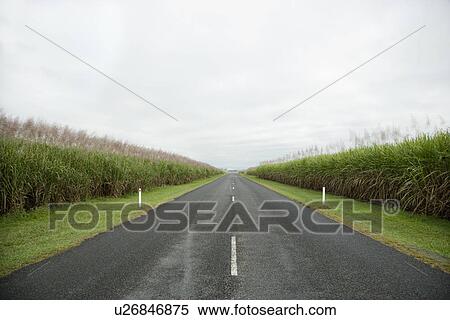 Rural Road in Grasslands View Large Photo Image Stock Photography - Rural Road in Grasslands. Fotosearch