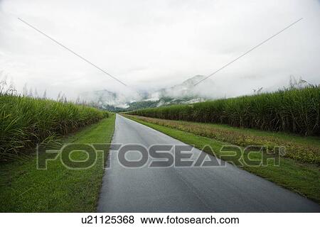 Stock Photo - Rural Road. Fotosearch