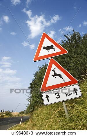 Signs on a Rural Road in Italy View Large Photo Image Stock Image - Signs on a Rural Road in Italy. Fotosearch