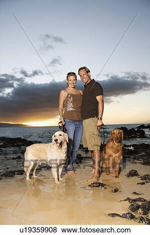 Smiling Couple With Dogs at the Beach View Large Photo Image Stock Photo - Smiling Couple With Dogs at the Beach. Fotosearch