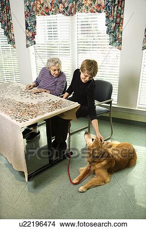 Two Women with Dog View Large Photo Image Picture - Two Women with Dog. Fotosearch