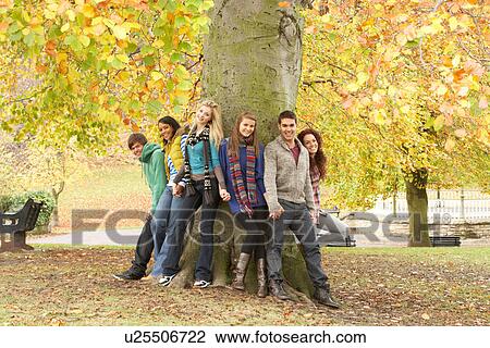 Stock Image - Group Of Six Teenage Friends Leaning Against Tree In Autumn Park. Fotosearch