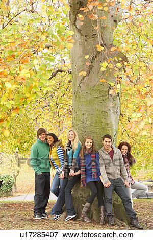 Stock Photo - Group Of Six Teenage Friends Leaning Against Tree In Autumn Park. Fotosearch