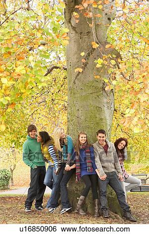 Stock Photograph - Group Of Six Teenage Friends Leaning Against Tree In Autumn Park. Fotosearch