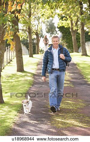 Picture - Man Walking Dog Outdoors In Autumn Park. Fotosearch