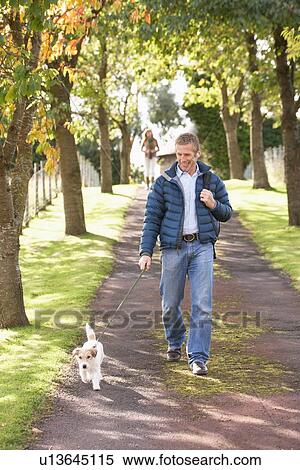 Stock Photography - Man Walking Dog Outdoors In Autumn Park. Fotosearch