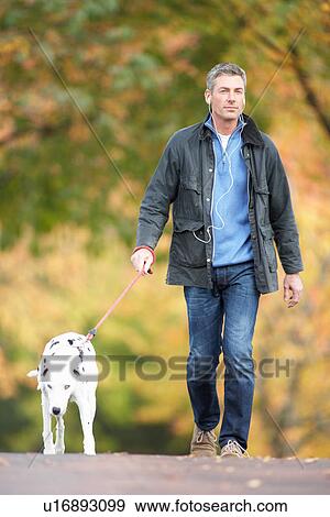 Stock Photo - Man Walking Dog Through Autumn Park Listening to MP3 Player. Fotosearch