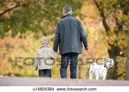 Picture - Man With Young Son Walking Dog Through Autumn Park. Fotosearch