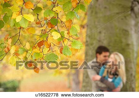 Shallow Focus View Of Romantic Teenage Couple By Tree In Autumn Park View Large Photo Image Stock Photo - Shallow Focus View Of Romantic Teenage Couple By Tree In Autumn Park. Fotosearch